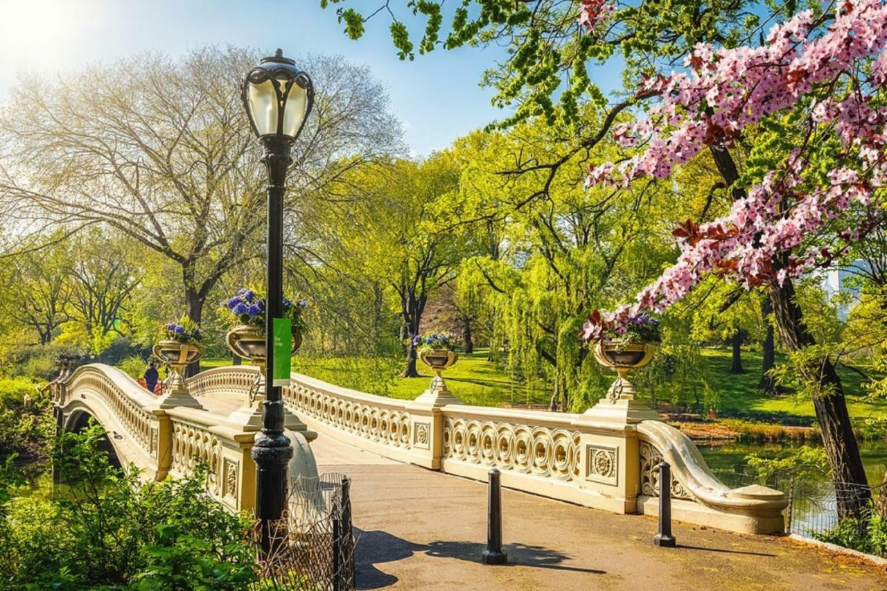 Frederick'S Place - Convenient Condo Walk To Central Park And Columbia University New York Bagian luar foto